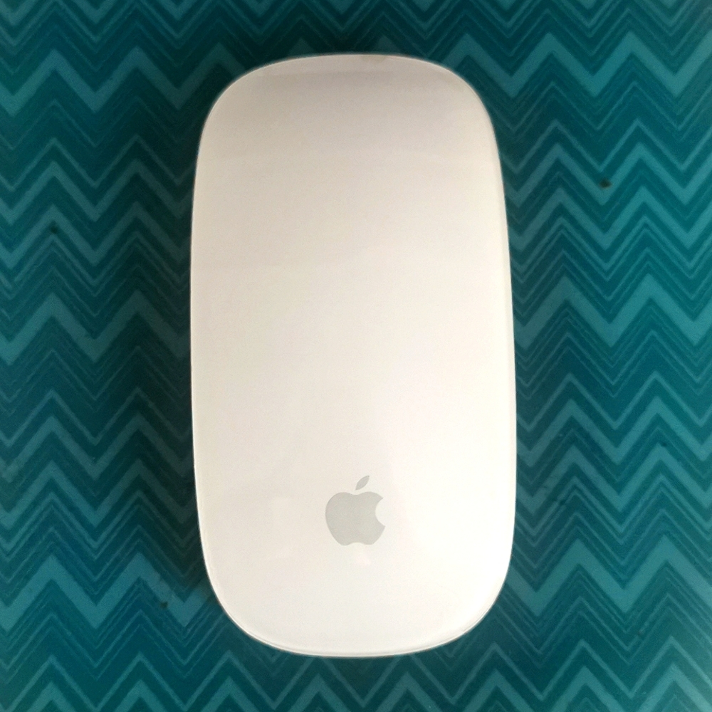 Apple magic mouse 1st gen (authentic)